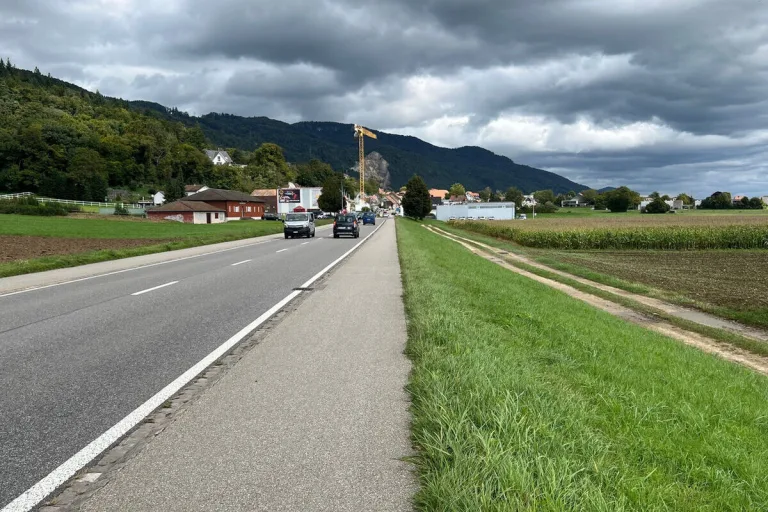 Oberbuchsiten SO – Zeugen nach Unfall gesucht