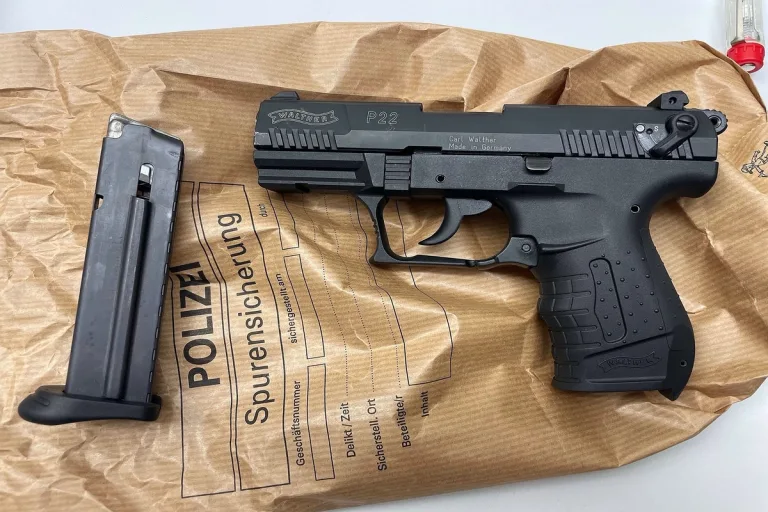 Küssnacht am Rigi SZ - Polizeieinsatz aufgrund von Schreckschuss-Pistole 
