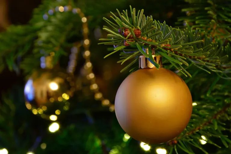 Berg TG - Brand von Christbaum mit zwei verletzten Personen