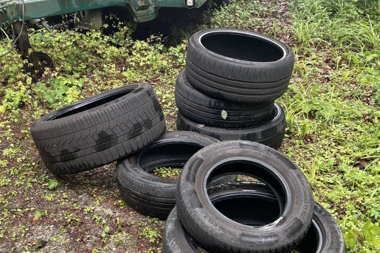 Zeugenaufruf Winterthur ZH – Altreifen illegal im Wald entsorgt