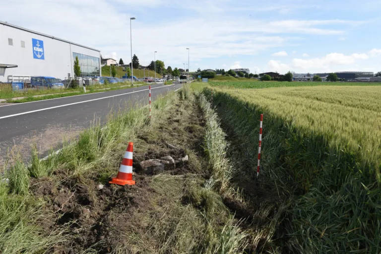 Emmen LU – Linienbus kommt von Strasse ab