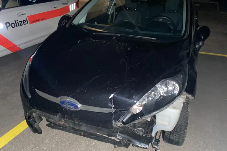 Hauptwil TG - Alkoholisiert Unfall gebaut