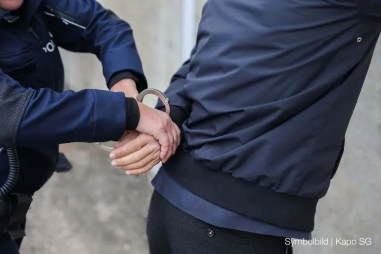 Wil SG - Polizei erwischt zwei Diebe 