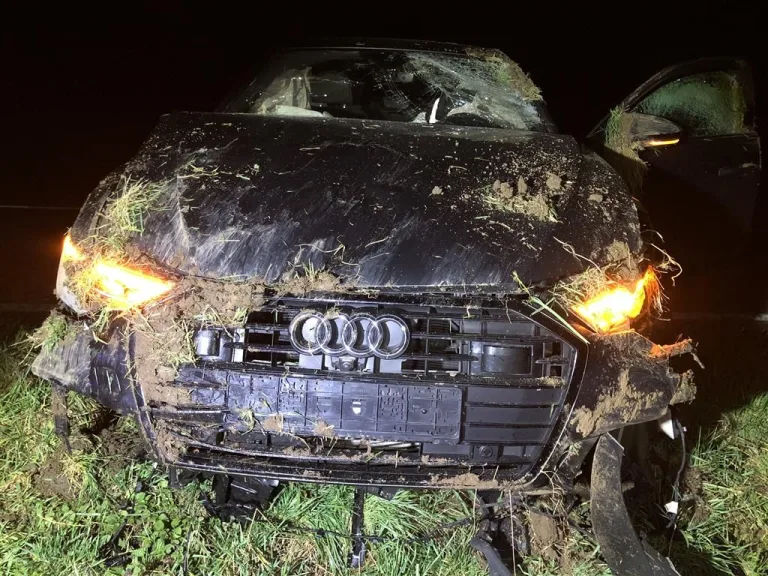 Audi-Fahrer verursacht Unfall unter Alkoholeinfluss auf B38 bei Landau