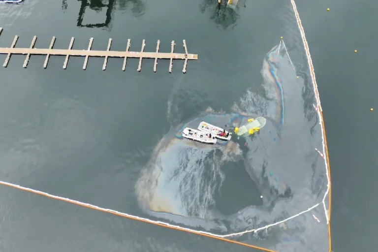 Zürich – Hafen Tiefenbrunnen bleibt gesperrt – Bergung läuft