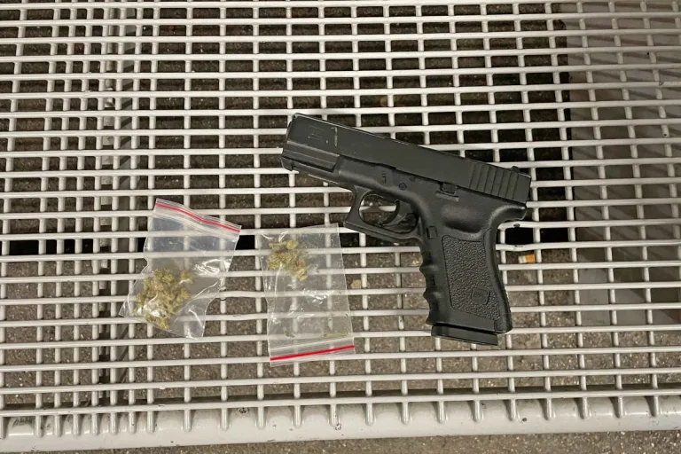 Erlen TG – Waffe und Betäubungsmittel  bei 18-Jährigem sichergestellt