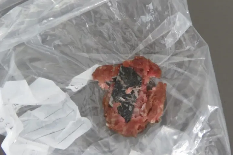 Meinerzhagen – Erneut Hundeköder mit Rasierklinge gefunden
