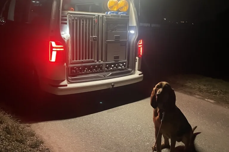 Grüsch GR – Polizeihund spürt Lenker (17) nach Flucht auf