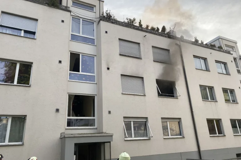 Reinach BL - Brennende Pfanne erfordert Feuerwehreinsatz – auch Katze konnte gerettet werden