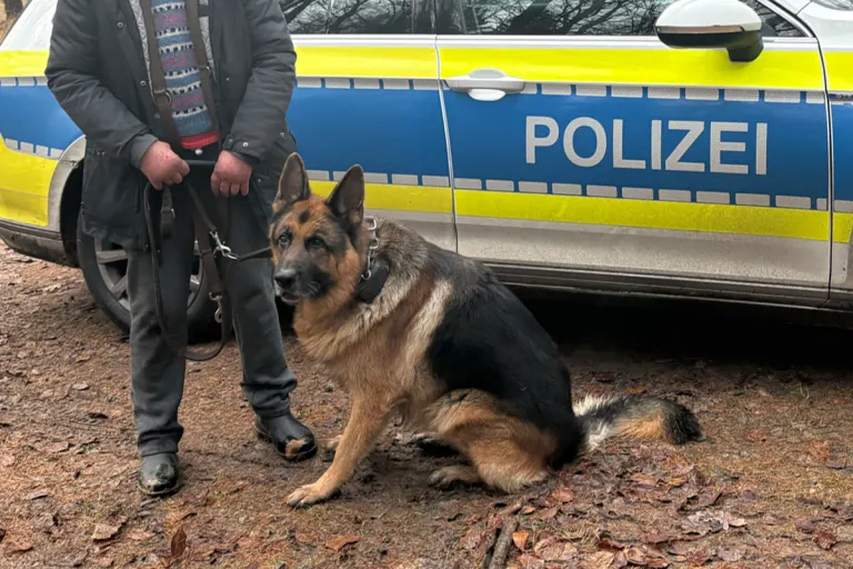 Braunschweig – Polizei hilft vermissten Hund wiederzufinden