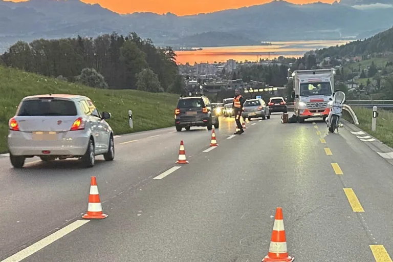 Feusisberg SZ – Motorradfahrer bei Unfall mit Reh schwer verletzt