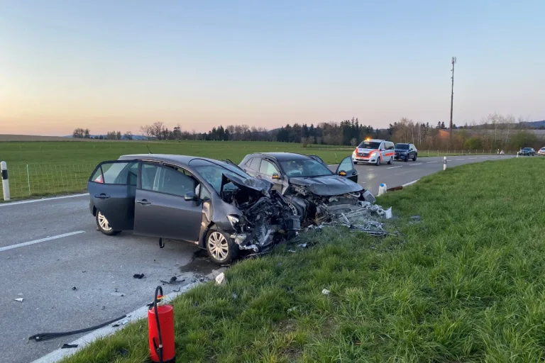 Wittenwil TG - Auto gerät nach Frontalkollision in Brand - auch Kinder unter den Verletzten