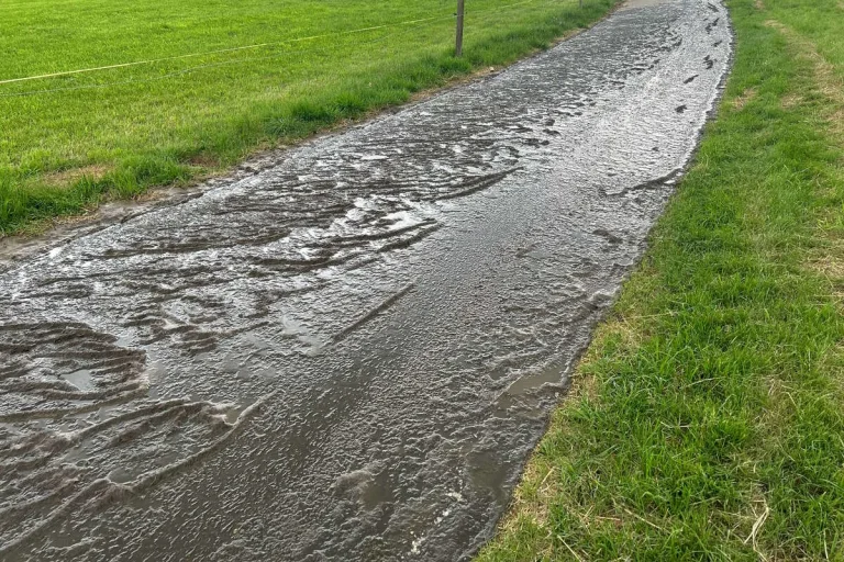Gossau SG - Bach durch Gülle verunreinigt – Fische tot 