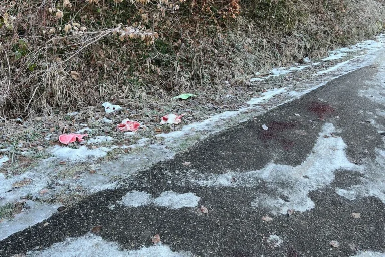 Seewen SO – Rätselhafte Blutlache – Polizei bittet um Hinweise