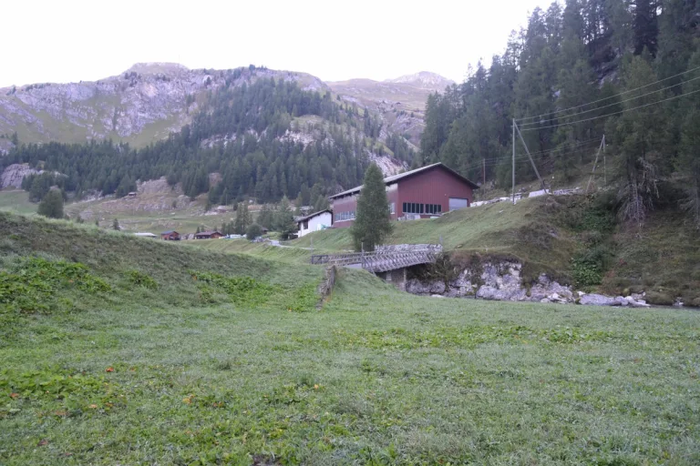 Avers GR – Pferd mit Hirsch verwechselt und erschossen
