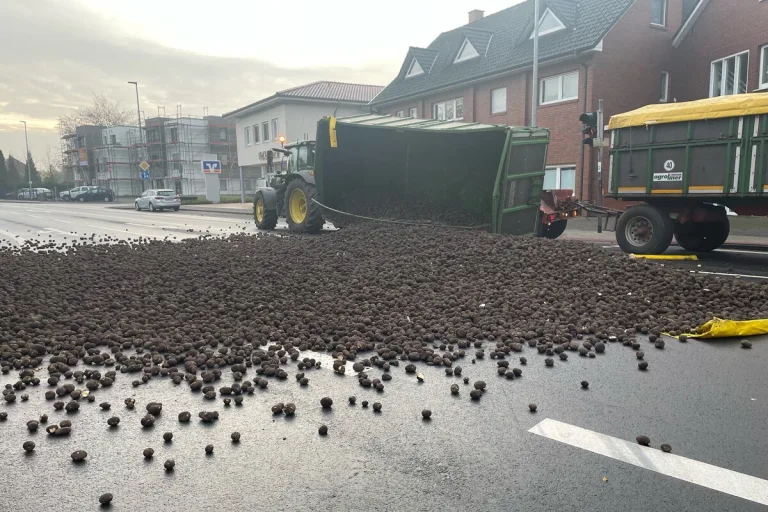 Cloppenburg/Vechta NI - Kartoffeln landen bei Unfall der Straße