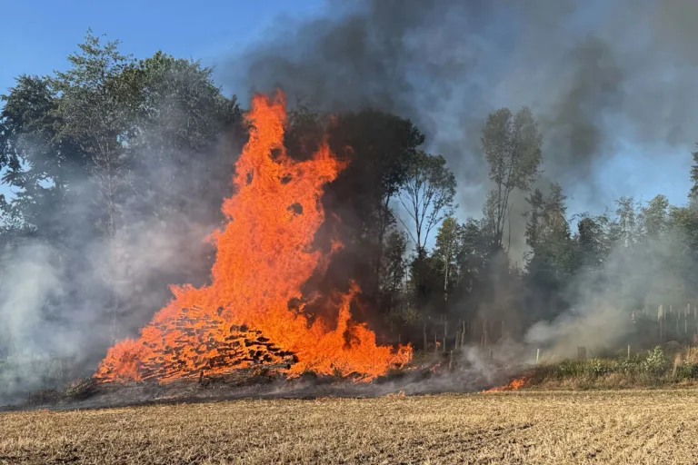 Koblenz AG – Wald und Holzlager in Brand geraten
