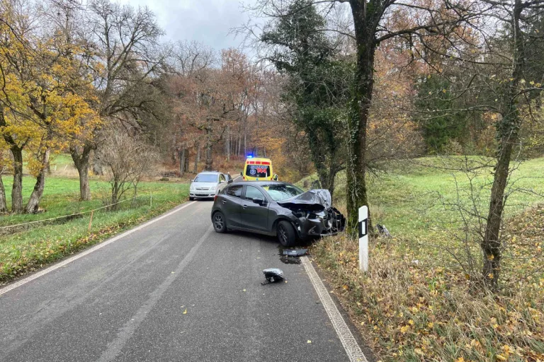 Erlinsbach AG – Lenkerin verliert Kontrolle über Fahrzeug und kollidiert mit Baum