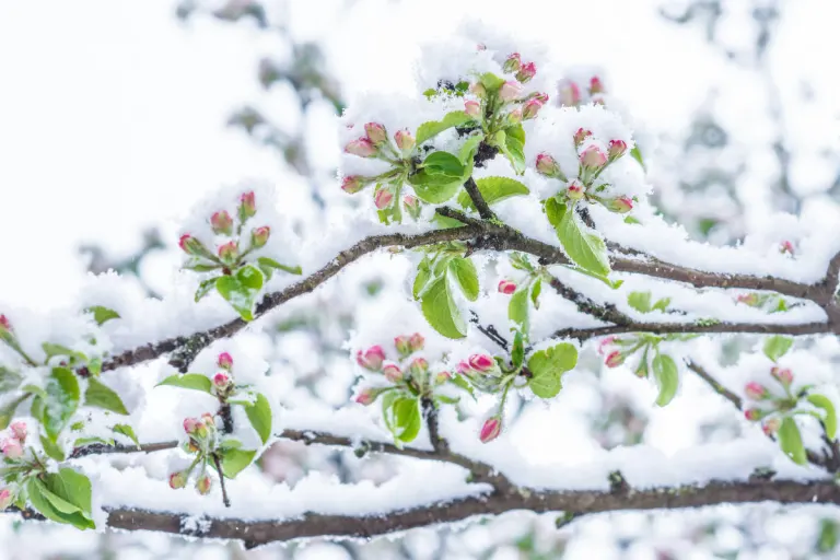 April, April - der macht, was er will!