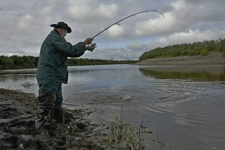 Dabel - Angelrute geriet gegen Stromleitung - Angler schwer verletzt