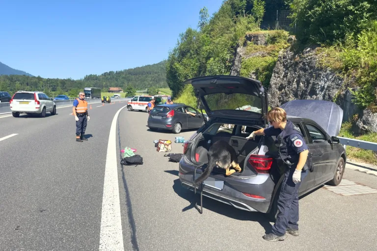 Zentralschweiz - 187 Fahrzeuge und 375 Personen kontrolliert