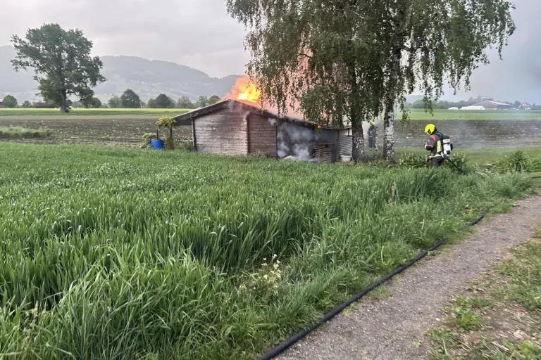 Altstätten SG – Holzasche setzt Schrebergarten in Brand