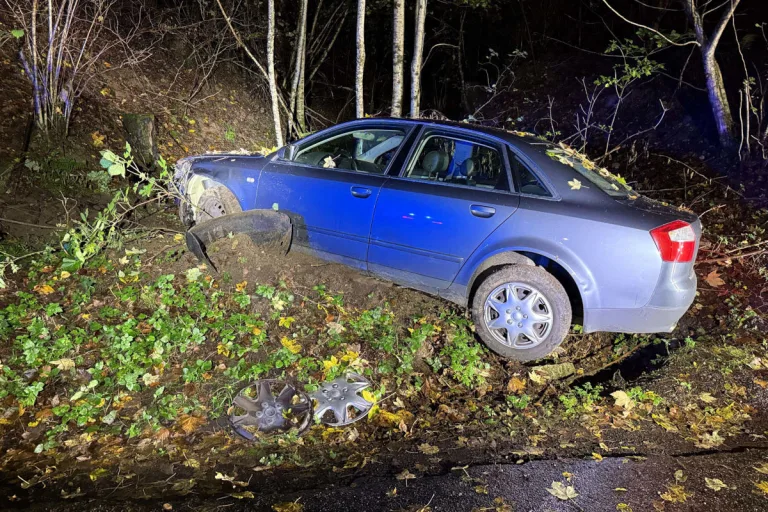 Würenlingen AG – Neulenkerin bei Unfall im Wald verletzt