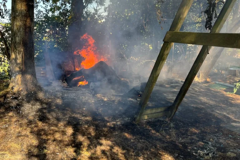Amriswil TG - Garten gerät in Brand
