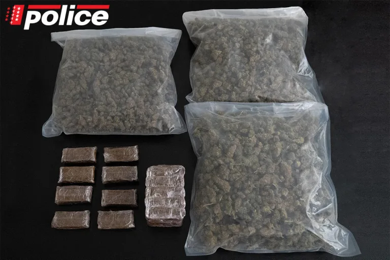 Kanton Wallis – Umfangreicher Handel mit Cannabis aufgedeckt