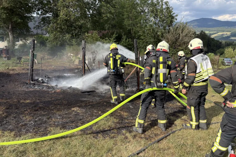 Brand in Pöllau – Erdwespennest mit Benzin bekämpft