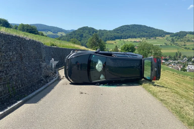 Oberdorf BL - Kontrolle über Personenwagen verloren - Hund und Lenker blieben unverletzt