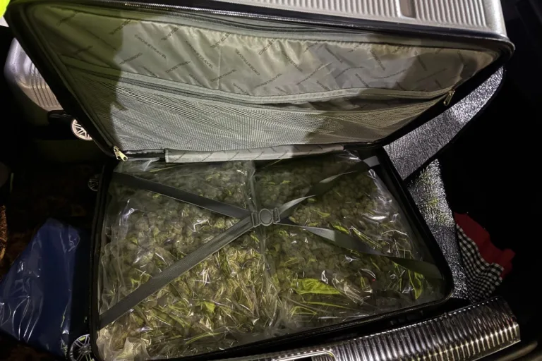 Silvaplana GR – Drogenkurier mit 11 Kilo Marihuana gestoppt