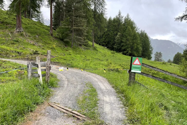 Tarasp GR - Kuhherde verletzt Frau schwer
