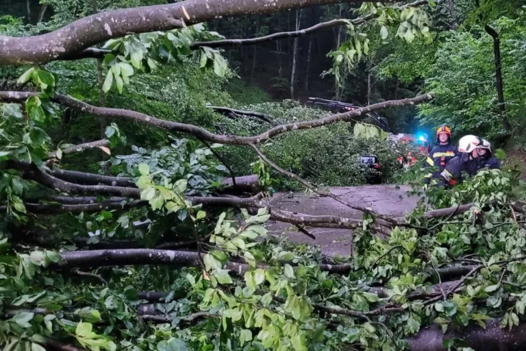 Unwetter in Leonding – Mehrere Bäume wurden entwurzelt und stürzten auf fahrendes Fahrzeug