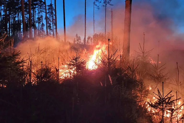 Großeinsatz bei Waldbrand in Modsiedl