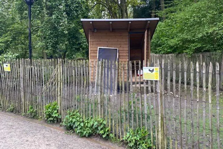 Grausige Tat in Velbert - Hahn und Hühner im Streichelhof getötet