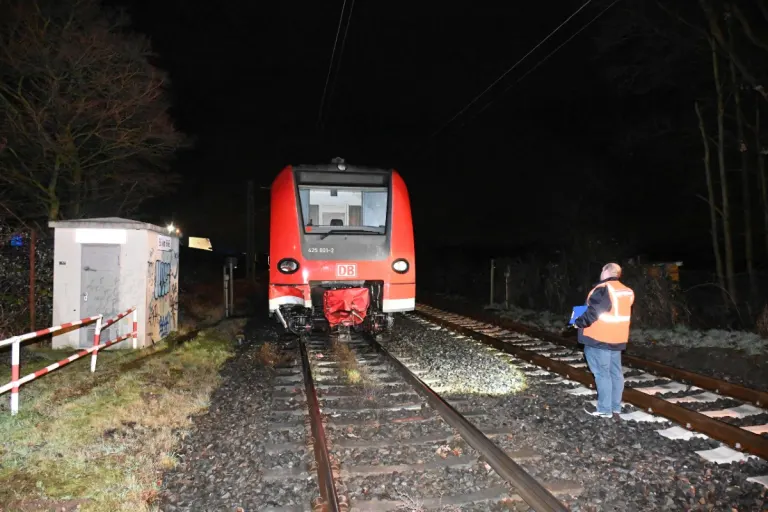 Pulheim - Pferde von Regionalexpress überrollt