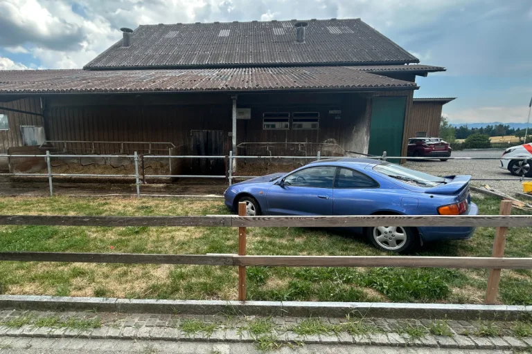 Amlikon-Bissegg TG – Alkoholisiert in Zaun von Stall geprallt