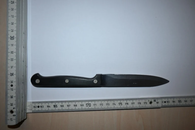 Raubüberfall in Wien scheitert – Täter festgenommen