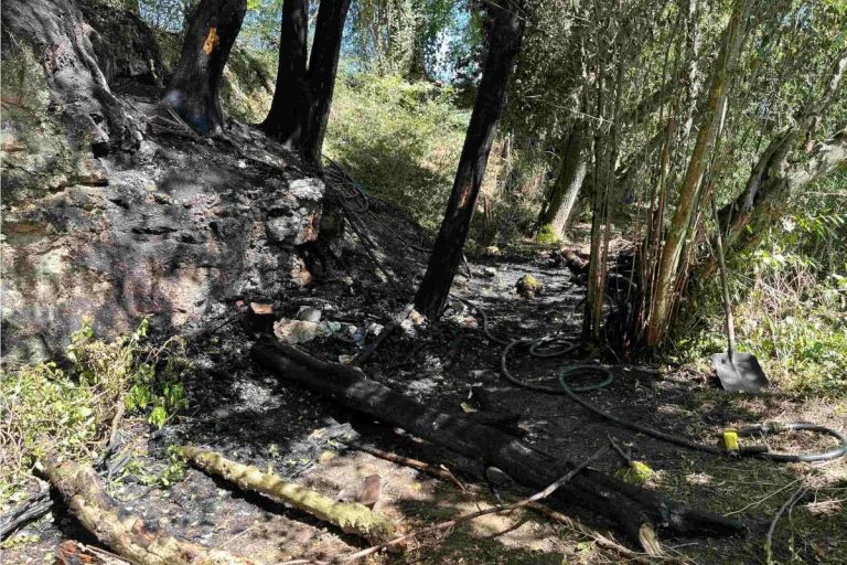 Metzerlen-Mariastein SO – Brand bei einer Baumgruppe 