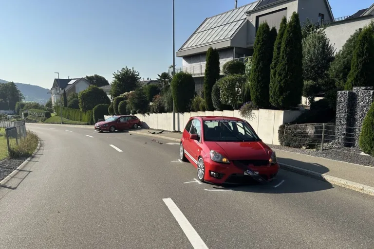 Lutzenberg AR – Betrunkener Fahrer verursacht Frontalkollision 