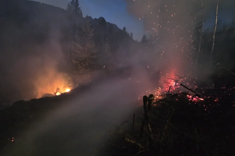 Seefeld – Böschungsbrand legt Verkehr lahm
