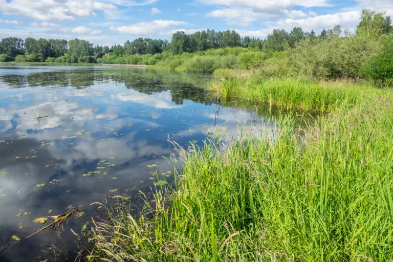 Alsfeld - Kind aus "Erlenteich" gerettet