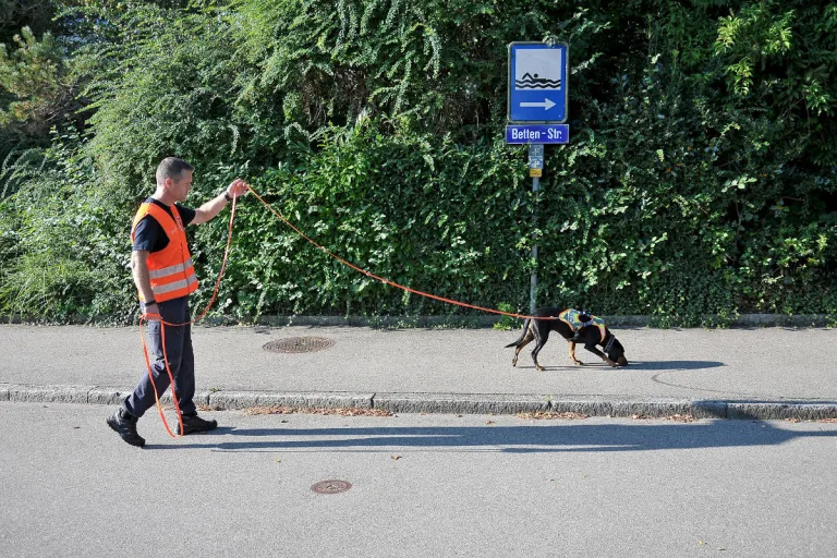 Polizeihunde - So retten Sie Vermissten oft das Leben