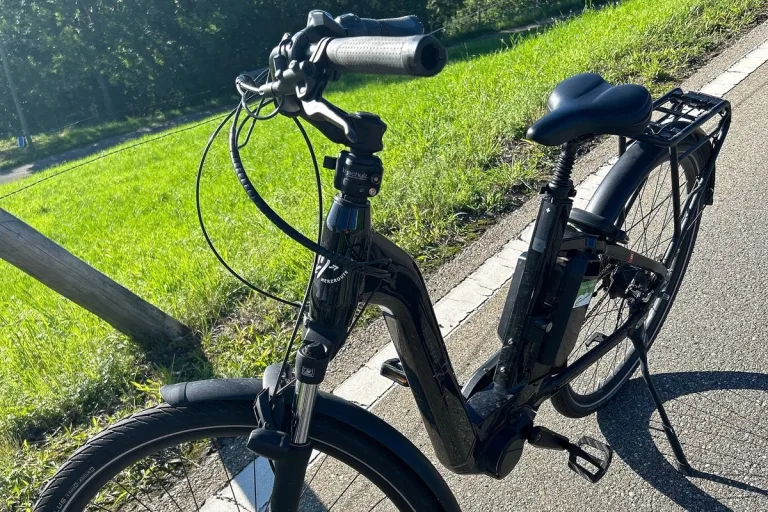 Teufen AR - E-Bikerin nach Unfall verletzt 