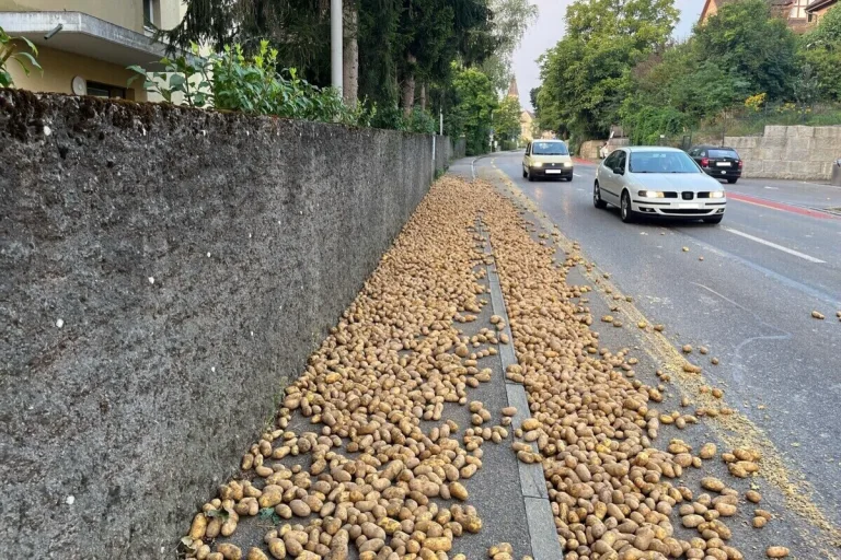 Neuhausen am Rheinfall SH - Schaffhauserstrasse aufgrund von Kartoffeln gesperrt