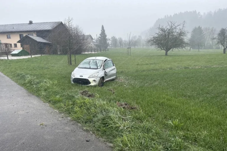 Leutwil AG - Jugendliche verunfallen mit entwendetem Auto 