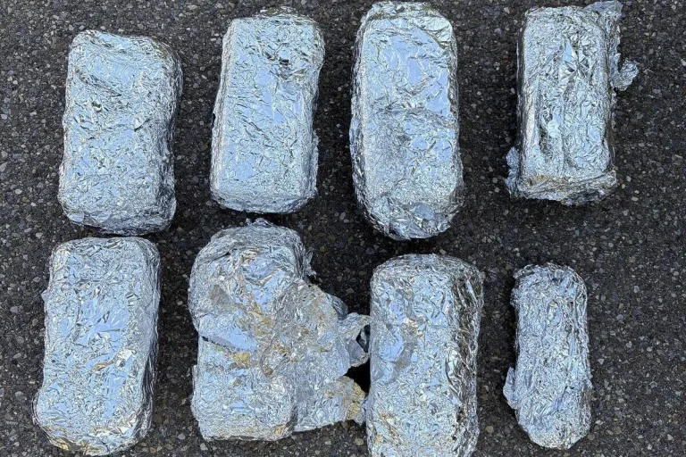 Zürich – Street Parade - Diebesbande mit über 40 gestohlenen Handys verhaftet