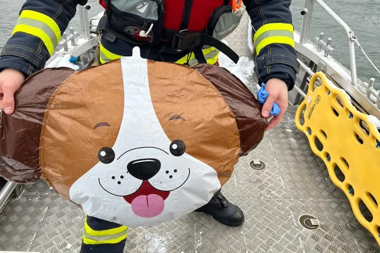 Stadt Basel - Ein Bärchen verursacht eine Wasserrettung im Rhein