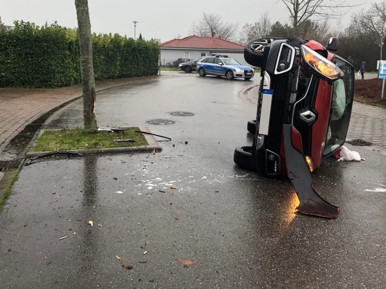 Edesheim – Mit Baum kollidiert und umgekippt